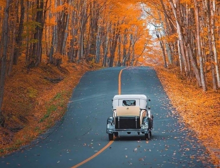 autumn path - cars, nature, autumn, photography, beauty