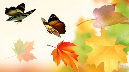 Autumn - leaves, collages, autumn, butterflies