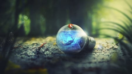 :-) - creative, ant, fantasy, mermaid, ladybug, bulb