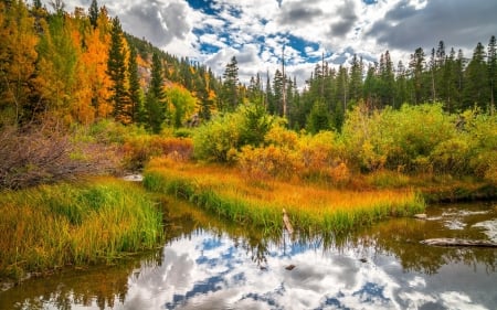 Autumn River in Quebec - clouds, trees, canada, water, wilderness, reflection, sky