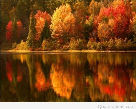 Autumn - trees, nature, reflection, river