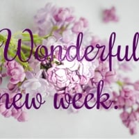 WONDERFUL NEW WEEK