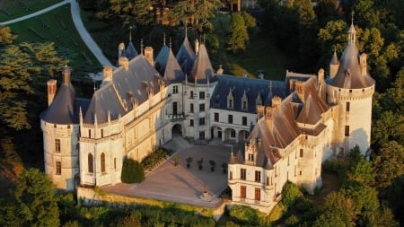 Castle in the Forest - forest, castle, building, medieval