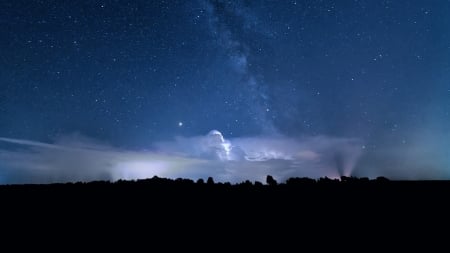 Milky Way - sky, milky way, stars, trees, forest, evening, clouds