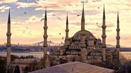 Sultan Ahmed Mosque Istanbul, Turkey - sultan ahmed, building, istanbul, mosque, religious, turkey