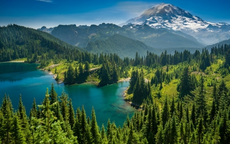 Mount Rainier, USA - mount, lake, landscape, trees