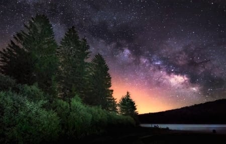 Starry Night in West Virginia - night, west virginia, stars, trees