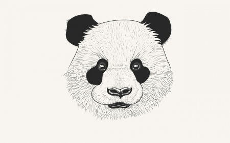 Panda - white, bear, panda, black, minimalism