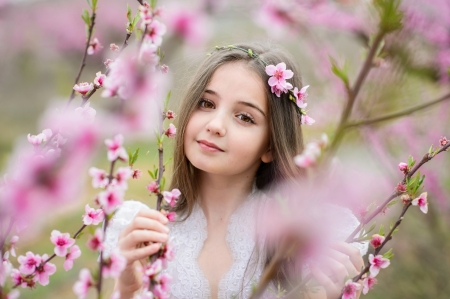 Little girl in spring - branch, cherry blossom, sakura, girl, spring, flower, pink, copil, child, primavara