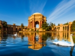 Palace of Fine Arts in San Francisco