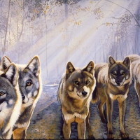 Wolves
