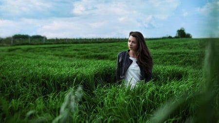 Beautiful Girl - field, woman, model, green