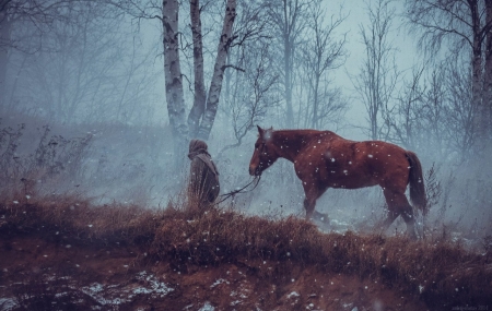 Snowy Morning - snow, trees, horse, woman