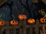 Halloween Pumpkins