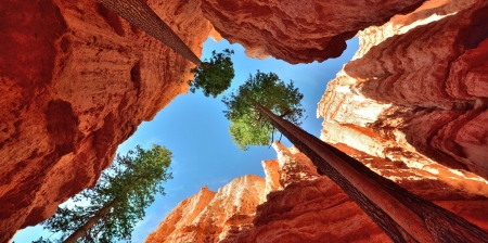 A beautiful Place in the World - nature, trees, place, world, rocks