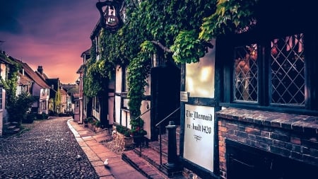 Mermaid Hotel - Street, Mermaid, Building, Hotel