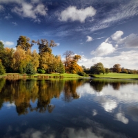 Reflection in the Lake