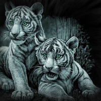 White tiger cubs