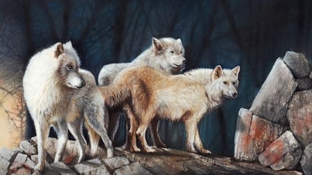 Wolves in Rocks - Firefox theme, wolf, lobo, pack, rocks, wild, wolves, loup