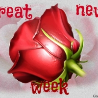 GREAT NEW WEEK