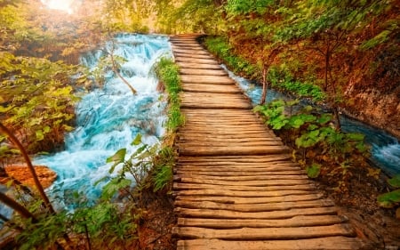 Path Across the River - nature, walk, river, wooden, path