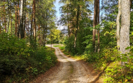 Road in Garkalne, Latvia - nature, latvia, trees, road