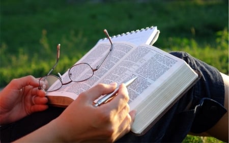 Studying the Bible - studying, book, reading, bible