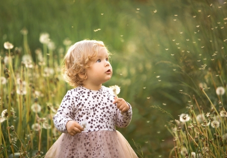 Little Girl - face, child, girl, look