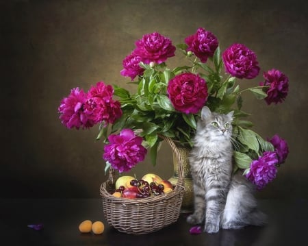 :-) - vara, cat, pisici, summer, basket, still life, fruit, daykiney, pink, peony, flower