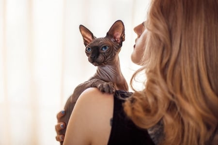 :-) - animal, woman, model, girl, pisici, cat, sphinx