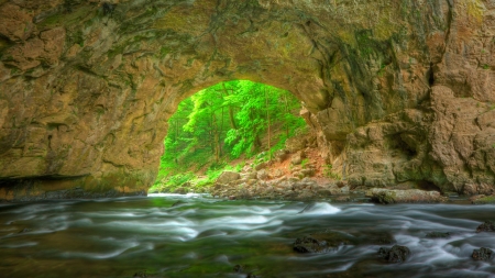 Cave in the Forest - Trees, Water, Cave, Forest, Rocks