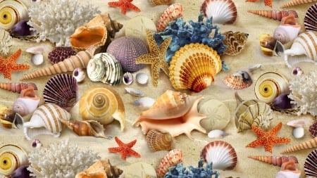 Coral and Seashells - starfish, coral, seashells, beach