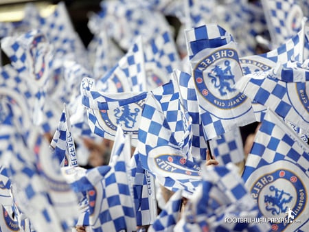 chelsea - chelsea, team, football, pic