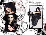 amylee 5646