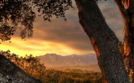 Scene Desktop - nature, skies, scenery, tree, mountains, scene