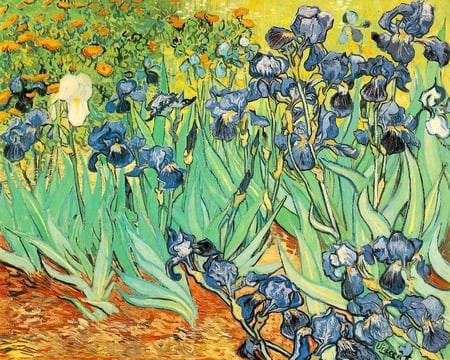 Vincent Van Gogh - nature, painting, beautyfull, art, flowers, irises