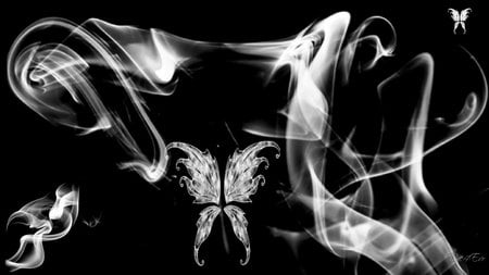 Smoke and Angel Wings - white, abstract, smoke, angel wings, black, widescreen