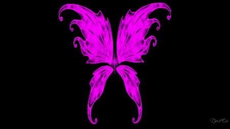 Angel Wings - fuscia, majenta, angel wings, widescreen