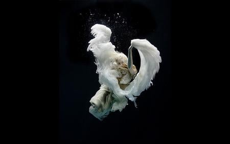 Angel in the sea of darkness - white, art, abstract, angel, 3d, darkness, black, fantasy