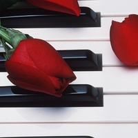 piano jpg