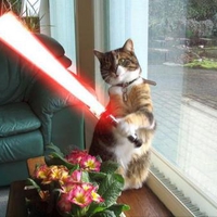 may the force be with you 