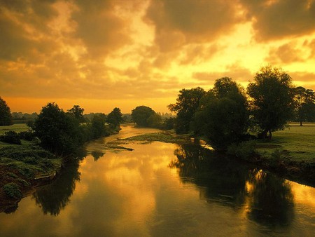 SUNSET  RIVER - trees, sunset, river, golden