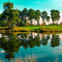 Reflection in the Lake