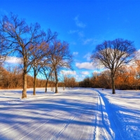 Snow-Covered Street in Winter