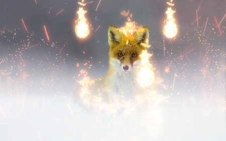 Sparks the fox - fire, fantasy, 0l fox l0, vulpe, luminos, sparksfox, fox, sparks