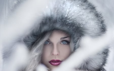 winter girl - girls, beauty, photography, fashion, furs