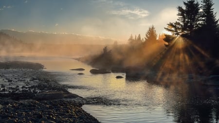 Beautiful nature - nature, water, tree, river