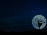 Moonlight ballerina