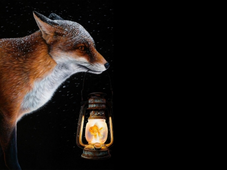 :-) - summer, black, iarna, jacub gagnon, fox, art, lamp, lantern, fantasy, light, fish, vulpe, luminos, vara, snow