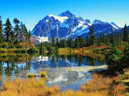 Beautiful Lake - Trees, River, Reflection, Sky